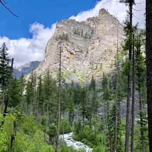 Meet your Posher, Shannon